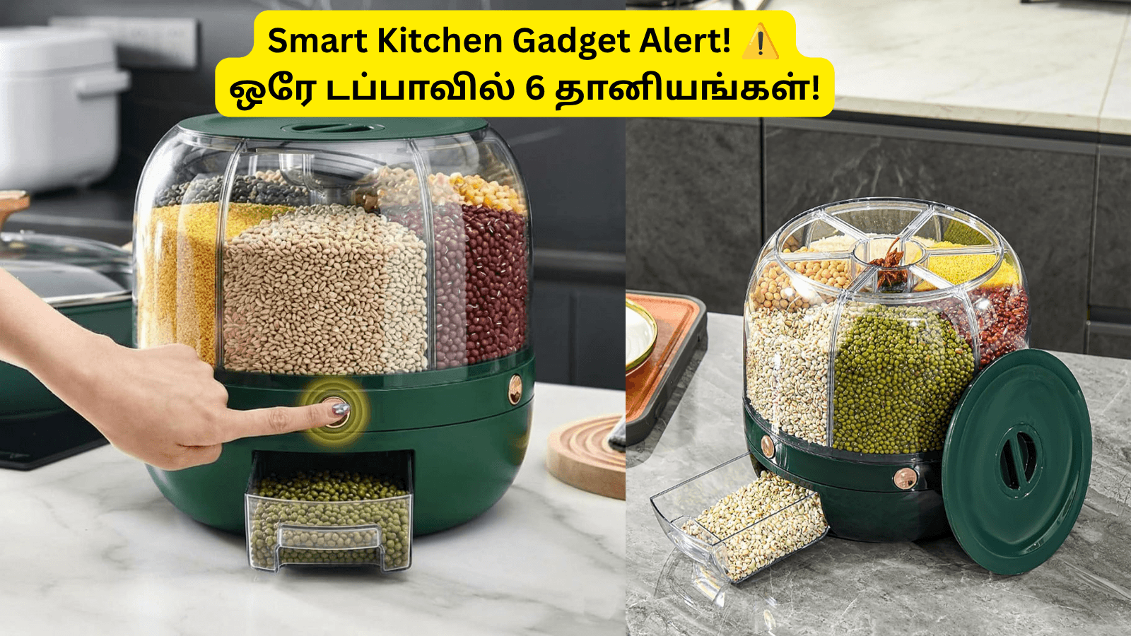 Dravizon 6 Grid Rotating Grain Dispenser on Amazon India